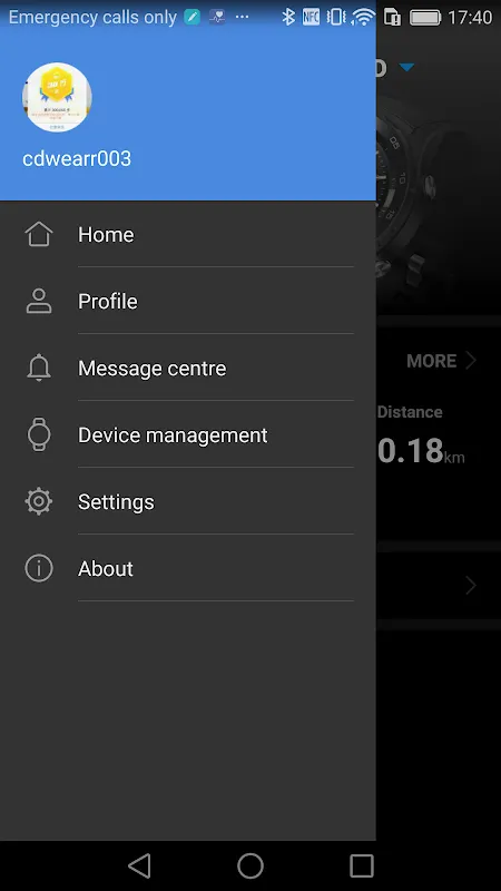 Huawei Wear Screenshots