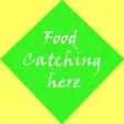 Food catching here