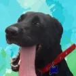 Run Nick Run