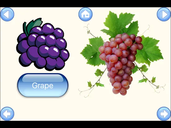 تصاویر Fruit Words Baby Learning English Flash Cards iPad 