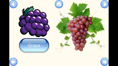 تصاویر Fruit Words Baby Learning English Flash Cards