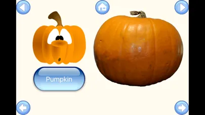 Captures d'écran de Vegetable Words Baby Learning English Flash Cards