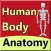 body anatomy guide