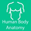 Organs of human body