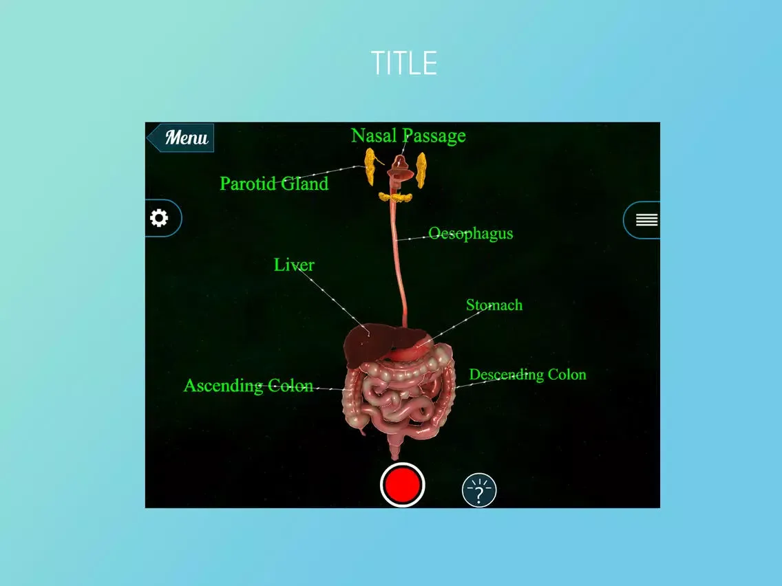 VR Human Digestive System iPad  Screenshots