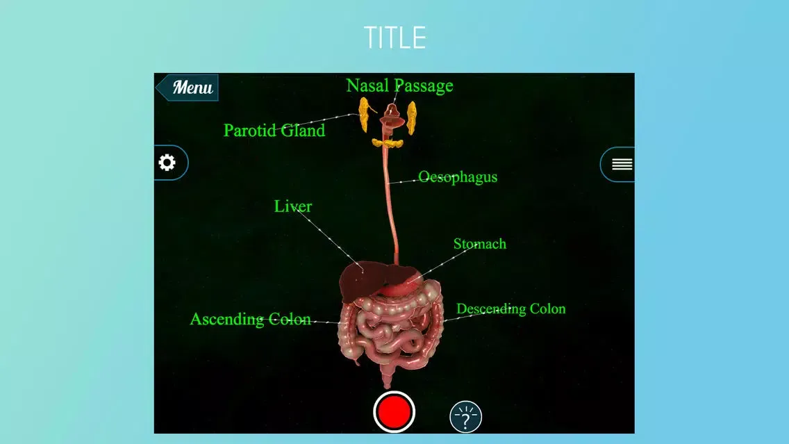 VR Human Digestive System Screenshots