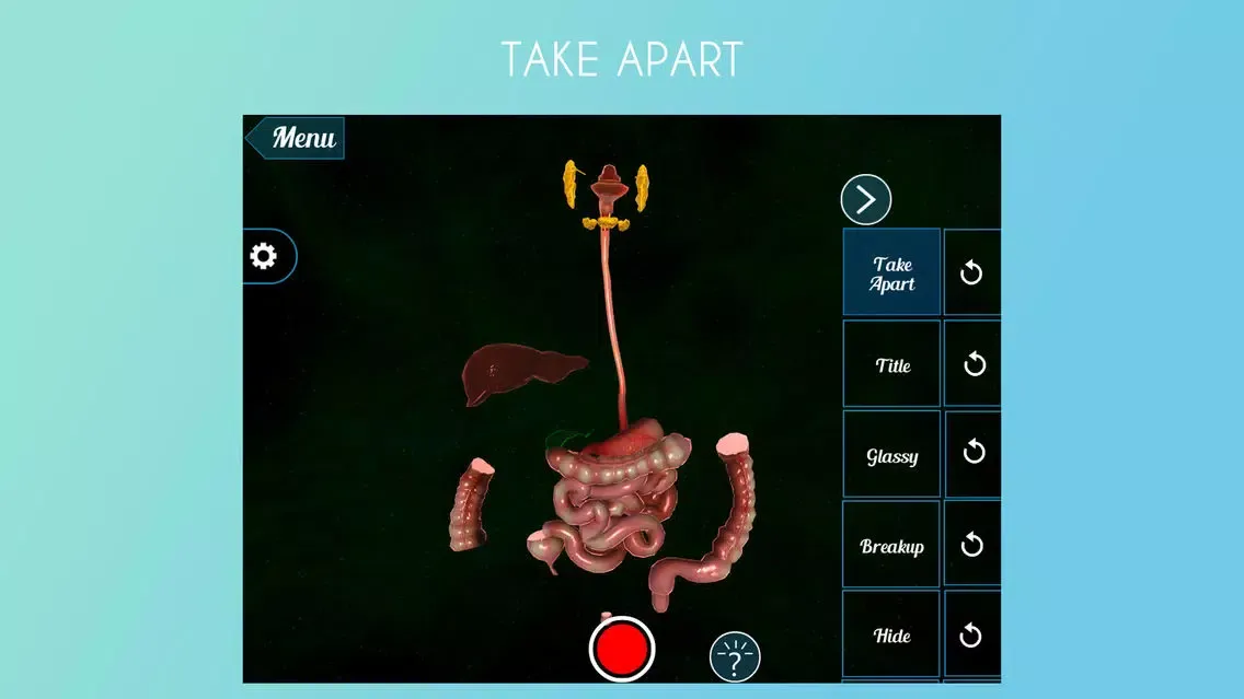 VR Human Digestive System Screenshots