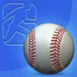 Go Coach Baseball
