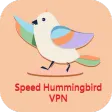 Speed Hummingbird VPN