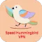 Speed Hummingbird VPN