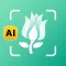 AI Plant Identifier Care Tips