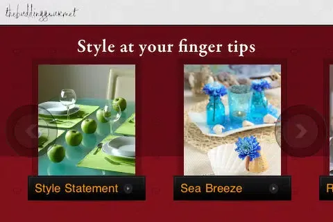 Style Menus Recipes Screenshots