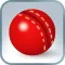 Practice Cricket Pocket Edition