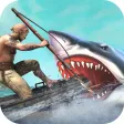 Hungry Dolphin Fish Simulator Hungry Dolphin Fish Simulator