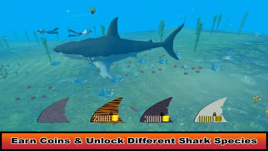 Hungry Dolphin Fish Simulator Screenshots