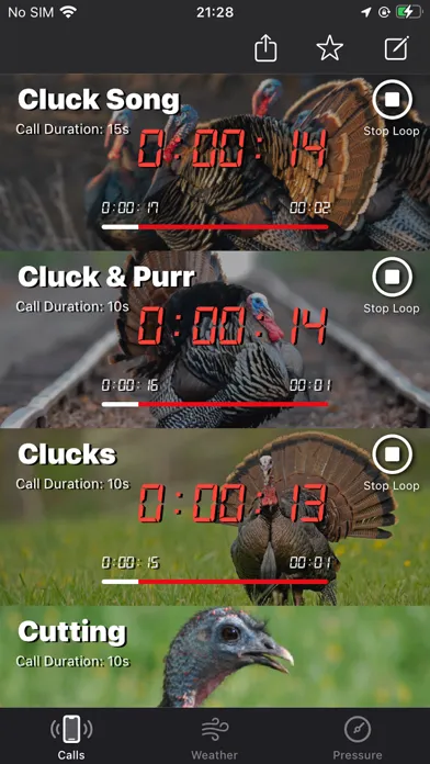 Tangkapan layar Turkey Calls for Hunting +