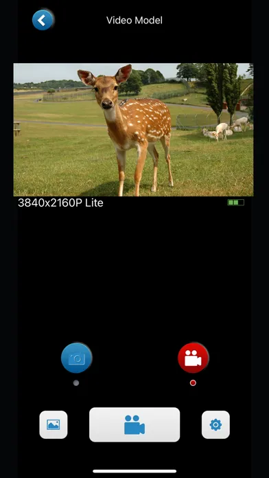 Скриншоты Hunting Camera Super