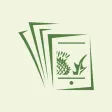 Britannica Collective for HKPL Britannica Collective for HKPL