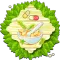 Homemade Remedies and Cures