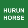 胡润马道 Hurun Horse