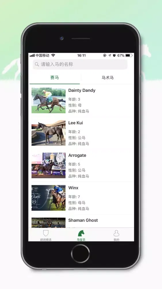 صور 胡润马道 Hurun Horse