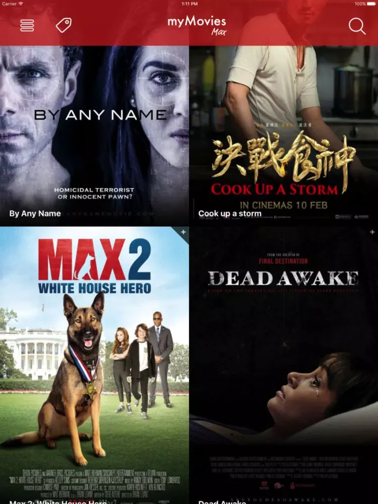 Tangkapan layar أفلامي ماكس iPad 