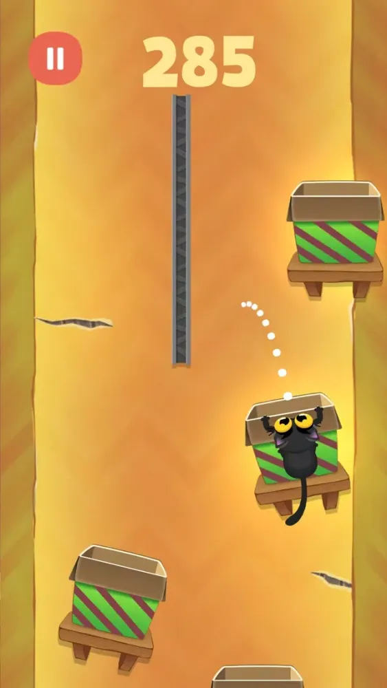 صور Kitty Jump!!