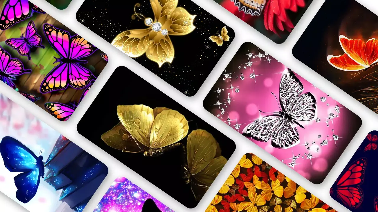 Butterfly Wallpaper 2024应用截图