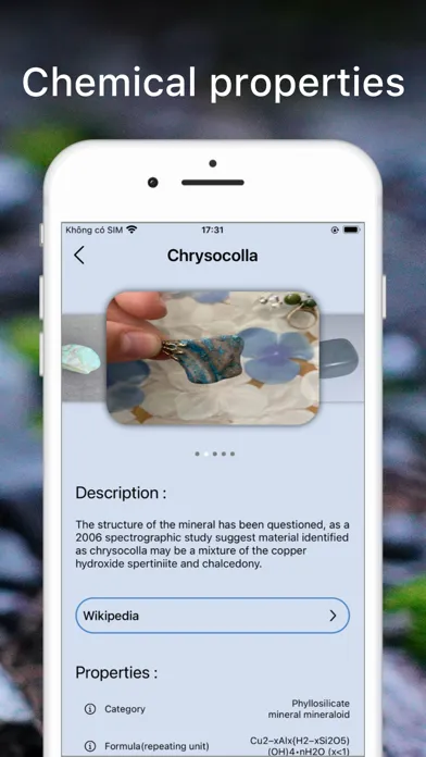 Rock Identifier Crystal Finder स्क्रीनशॉट
