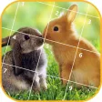 Jigsaw Puzzle - Animals Jigsaw Puzzle - Animals