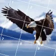Bird Jigsaw Puzzle Bird Jigsaw Puzzle