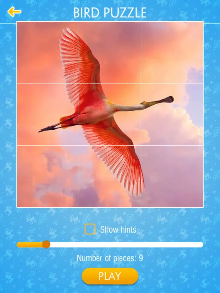 Bird Jigsaw Puzzle iPad 应用截图