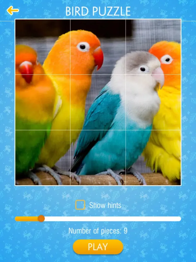 Bird Jigsaw Puzzle iPad 应用截图
