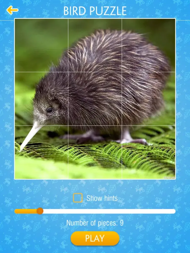 Bird Jigsaw Puzzle iPad 应用截图