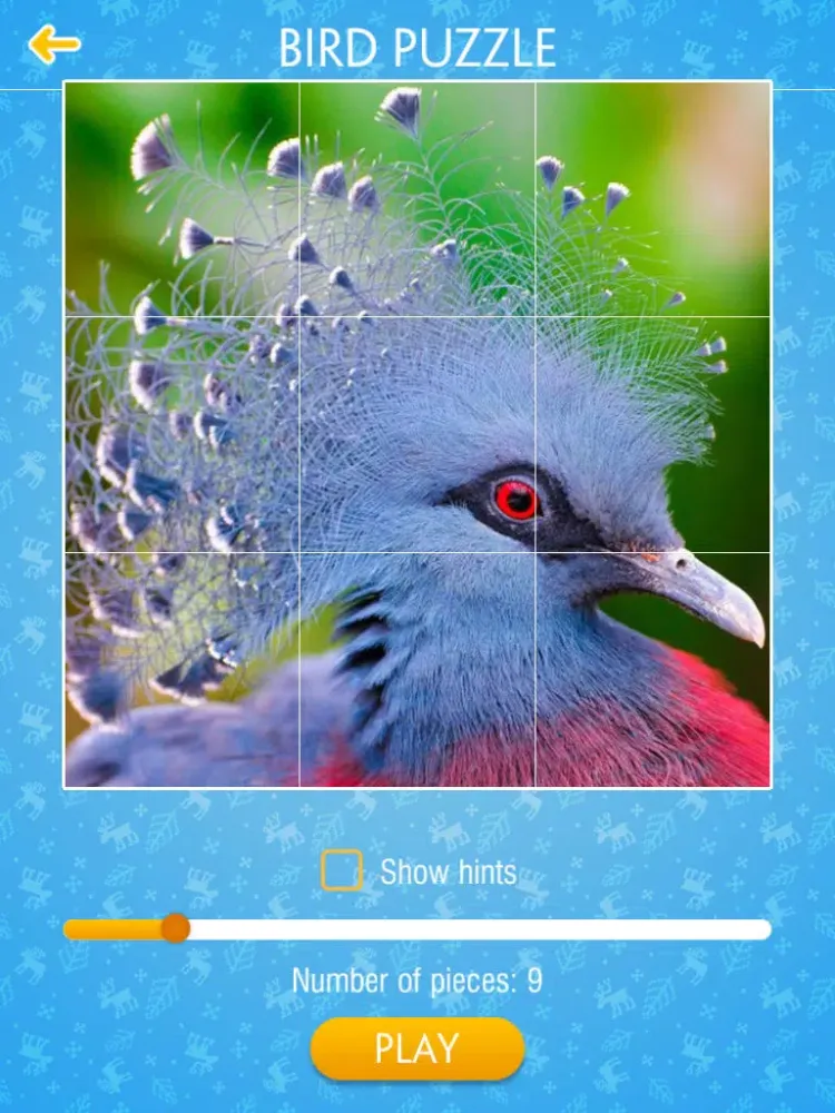 Bird Jigsaw Puzzle iPad 应用截图
