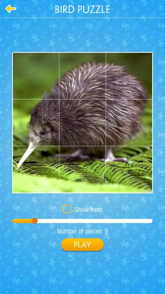 Bird Jigsaw Puzzle应用截图