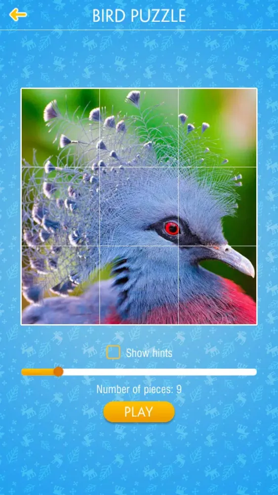 Bird Jigsaw Puzzle应用截图