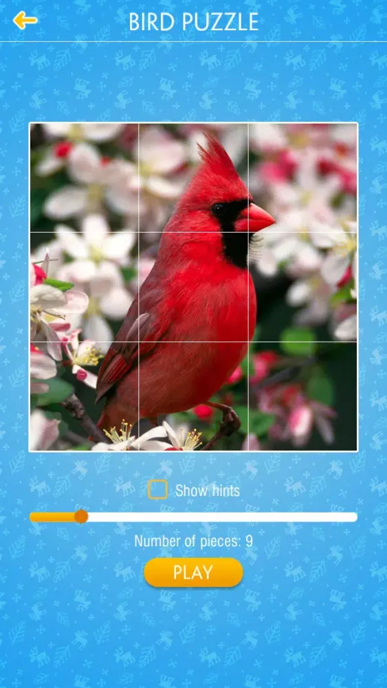 Bird Jigsaw Puzzle应用截图