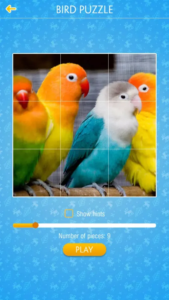Bird Jigsaw Puzzle应用截图