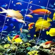 Fish Jigsaw Puzzles Fish Jigsaw Puzzles
