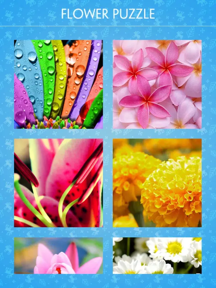 Jigsaw Puzzle - Flower iPad  स्क्रीनशॉट