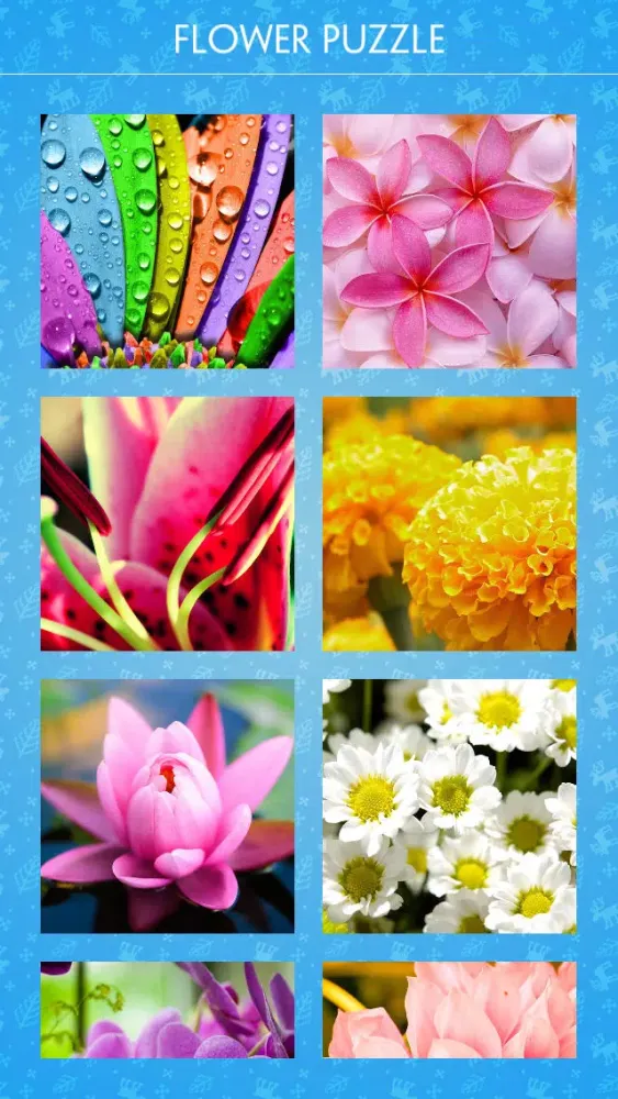 Jigsaw Puzzle - Flower स्क्रीनशॉट