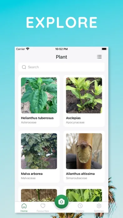 The Plant Identification App Screenshots