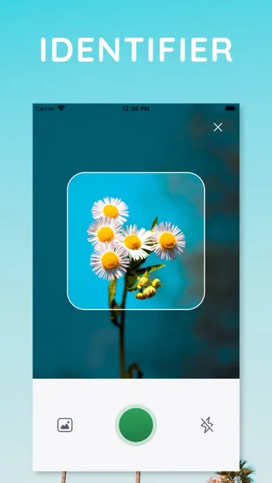 The Plant Identification App Screenshots