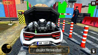 Border Cop 3D: Police Games 스크린샷