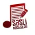 Səsli Məqalələr