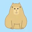 Cute Capybara Expressions Cute Capybara Expressions