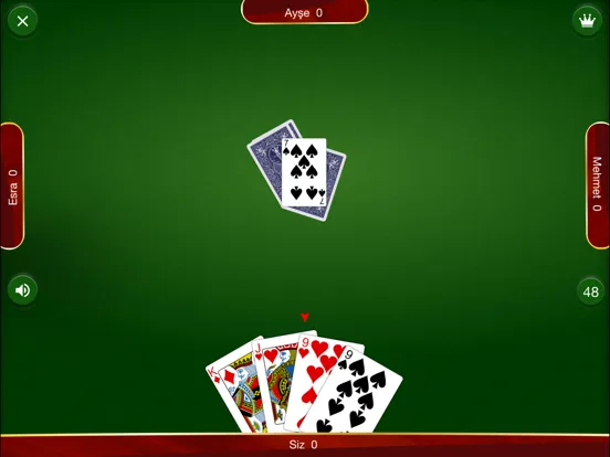 Pişti - İnternetsiz iPad  Screenshots