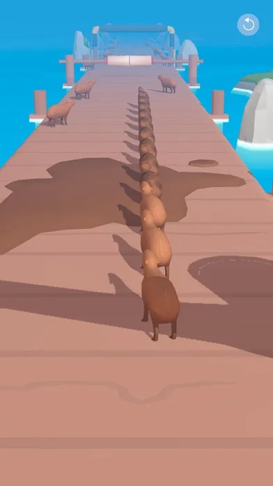 Capybara Run Screenshots