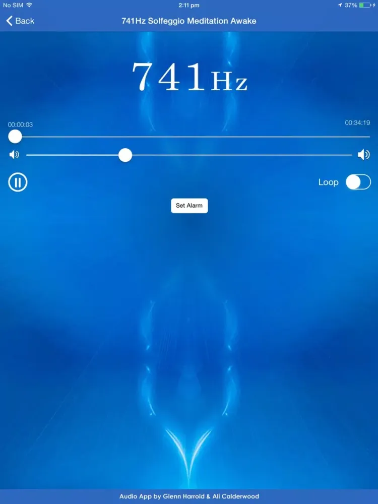 Capturas de tela do 741hz Solfeggio Sonic Meditation by Glenn Harrold & Ali Calderwood iPad 